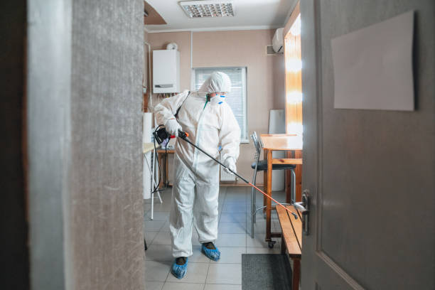 Best Emergency Mold Remediation  in Wyoming, MN