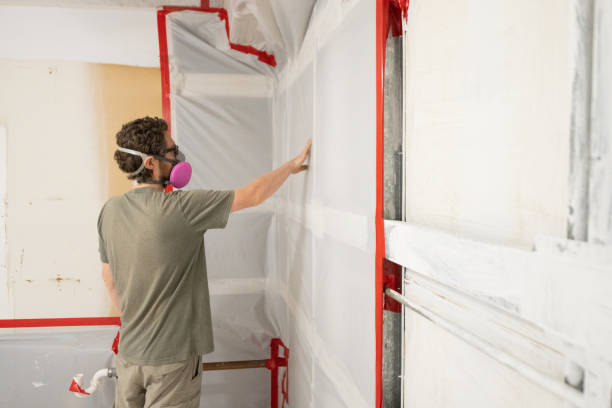 Best Post-Construction Mold Inspection  in Wyoming, MN