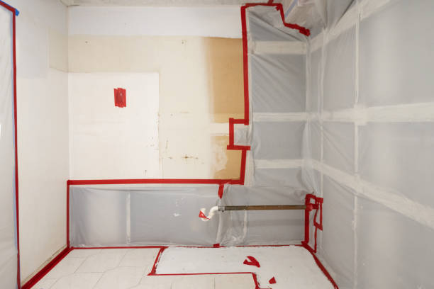 Best Forensic Mold Investigation  in Wyoming, MN