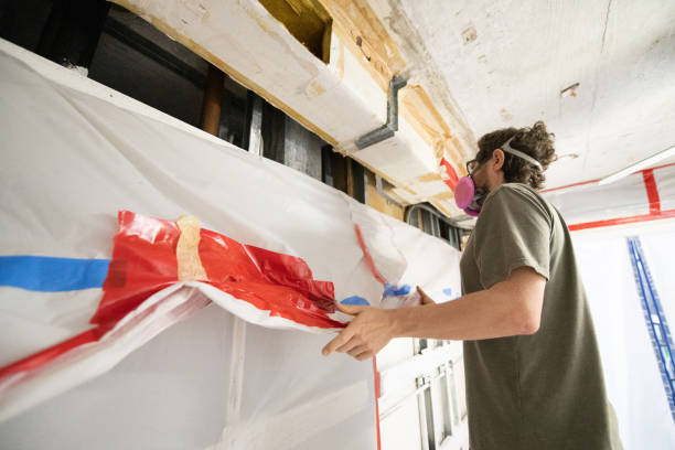 Best Water Damage & Mold Remediation  in Wyoming, MN