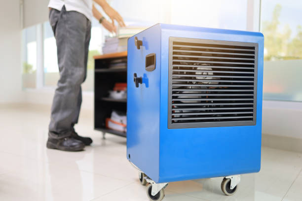 Best Mold-Related Health Consultation  in Wyoming, MN