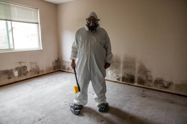 Best Airborne Mold Testing  in Wyoming, MN